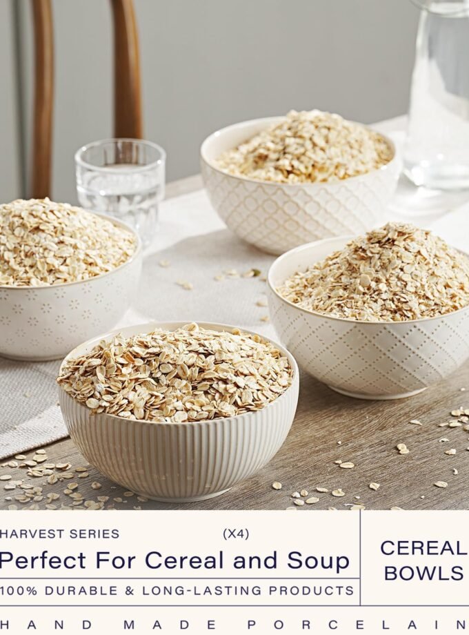 Ceramic Soup Bowls, Cereal Bowl Set of 4 with Assorted Embossment (6.1 inch & 30 oz), Farmhouse Vintage Color Bowls for Kitchen